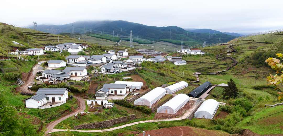 365Ó¢¹úÉÏÊÐ(¼¯ÍÅ)ÓÐÏÞ¹«Ë¾-Official website