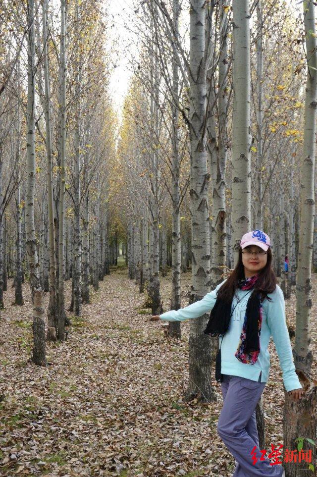 ��ɶ���������������δ�� | �ɶ���������ҵ��Ȧǿ���˲����롱��ѡ�߶��ȣ�12���ᴺ������������ͬ���ǡ�����