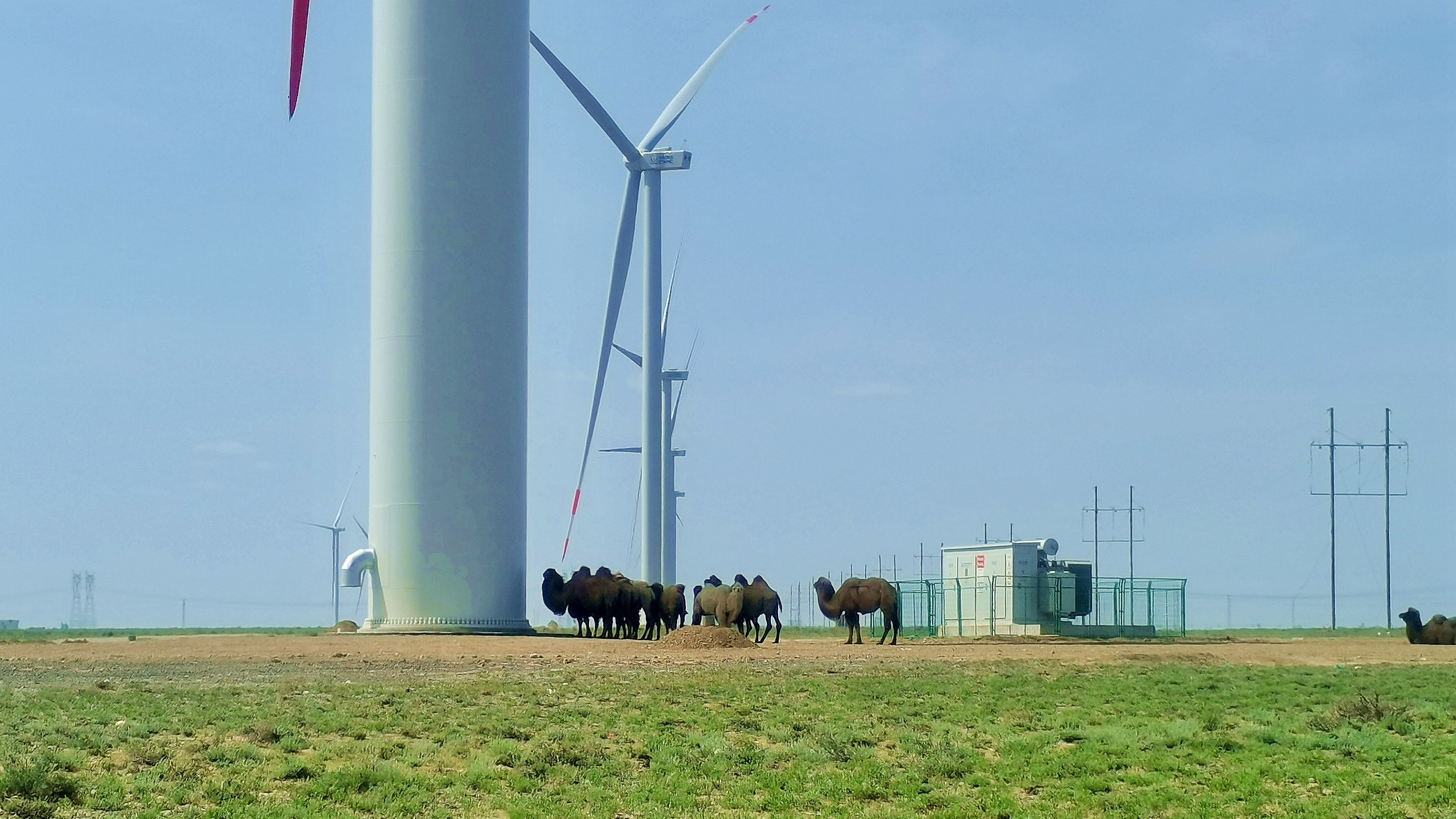 365Ӣ������(����)���޹�˾-Official website