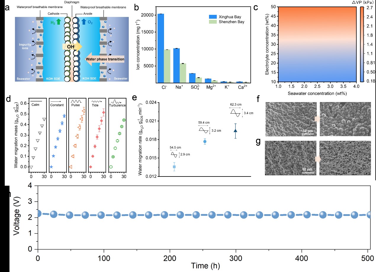 365Ó¢¹úÉÏÊÐ(¼¯ÍÅ)ÓÐÏÞ¹«Ë¾-Official website