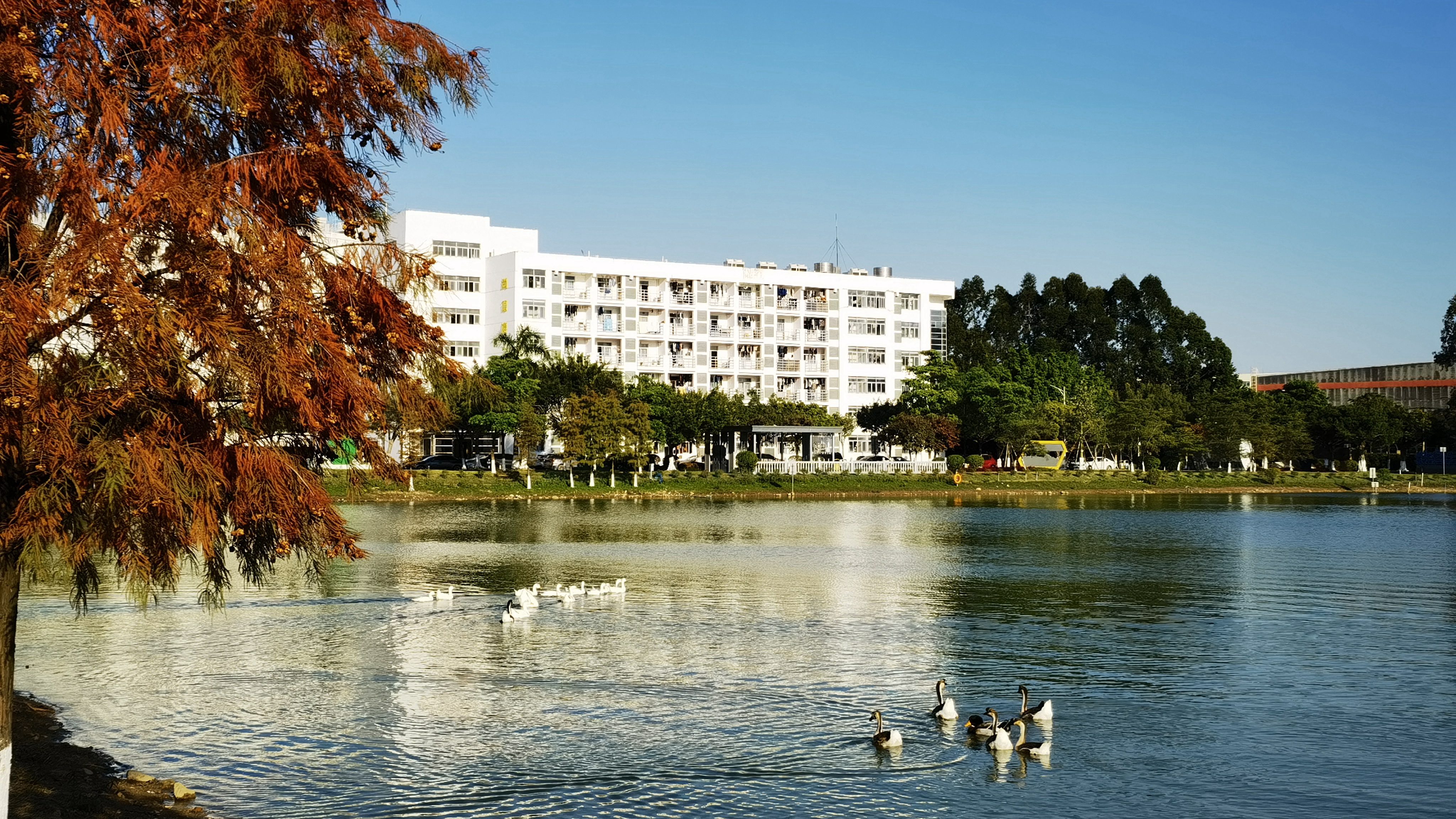 365Ӣ������(����)���޹�˾-Official website