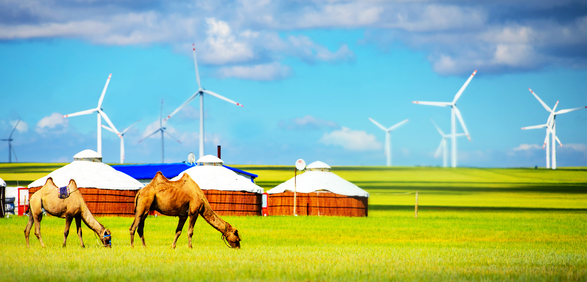 365Ӣ������(����)���޹�˾-Official website